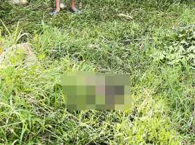 Jasad Bayi Malang Ditemukan Membusuk di Lahan Kosong Warga Meranti