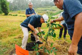 PTPN IV Regional III Tanam 10.500 Bibit Pohon di Riau Sepanjang 2025