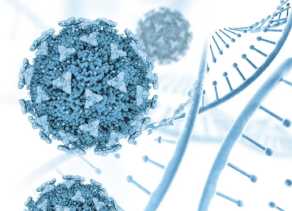 Covid-19 di Singapura Kembali Meningkat