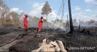 Karhutla di Riau Meluas, Kampar Terluas