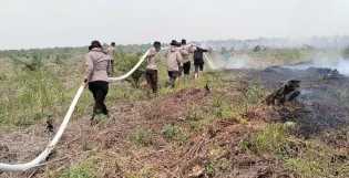 Masuki Hari ke-9, Pendinginan Lahan Terbakar di Bangko Pusako Terus Dilakukan