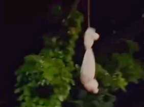 Viral, Remaja di Dumai Takuti Pengendara dengan Pocong Buatan