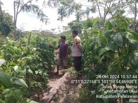 Polsek Ukui Cek Bahan Pangan Jelang Pilkada