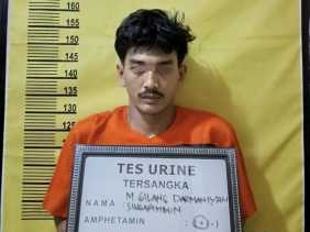 Pemuda Desa Tani Makmur di Inhu Nekat Curi Sawit Perusahaan untuk Beli Narkoba