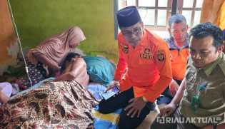 Serangan Harimau Sumatera Lukai Penebang Kayu di Siak, BBKSDA Riau Pasang Kamera Jebak