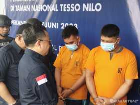 Gakkum KLHK Amankan 2 Pelaku Perambahan Hutan di Kawasan TNTN