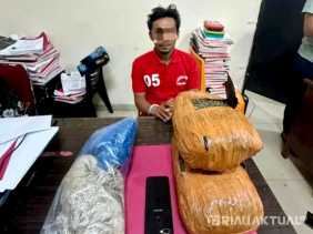 Simpan 2,3 Kg Ganja, Warga Rambah Ditangkap Polres Rokan Hulu