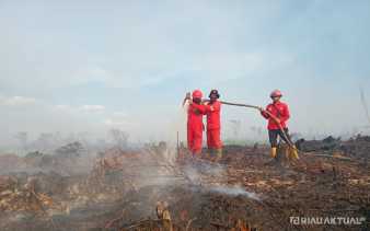 Bhayangkara Run di Tengah Ancaman Karhutla, Begini Pandangan Dokter Spesialis Paru