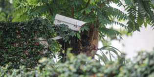 CCTV Kasus Penembakan Brigadir J: Awalnya Rusak, Kini Ditemukan