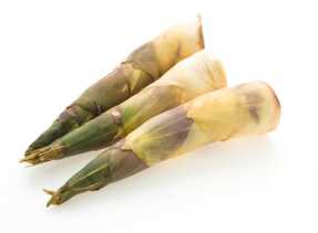 Makan Rebung Sebabkan Kenaikan Asam Urat Naik, Mitos atau Fakta?