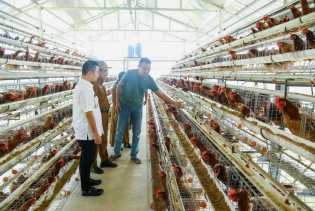 Pj Walikota Pekanbaru Petakan Stok Pangan Program Makan Siang Gratis