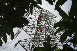 Perkara Pencurian Besi Tower Sutet PLN, Penadah Ditangkap 2 Pelaku Diburu