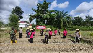 Polsek Rimba Melintang Gelar Launching Program Pekarangan Pangan Lestari 2025 Secara Serentak