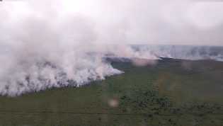 31 Titik Panas Terdeteksi di Riau, Didominasi Wilayah Indragiri Hilir dan Siak