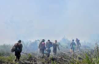 Hutan Giam Siak Kecil Terbakar, 10 Hektare Diduga Dijadikan Kebun Sawit