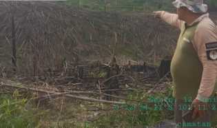 KSDA Riau Temukan 1 Hektare Lahan Terbakar di SM Rimbang Baling