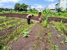 Polsek Teluk Meranti Sukseskan Program Ketahanan Pangan Jelang Pilkada