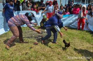 Seru! 17 Agustusan di Pekanbaru, Emak-emak Tangkap Ayam Dengan Mata Tertutup