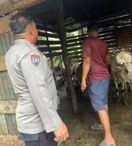 Dukung Program Asta Cita Lewat Ketahanan Pangan, Begini Cara Polsek Bangko