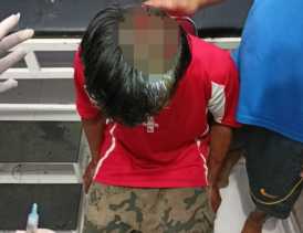 Kontraktor Konsesi di Pelalawan Diserang Harimau