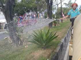 DLHK Pekanbaru Tambah Jadwal Penyiraman Tanaman Median Jalan