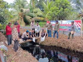Polsek Teluk Meranti Jaga Ketahanan Pangan di Desa Gambut Mutiara