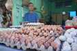 Harga Telur di Pekanbaru Tembus Rp62 Ribu per Papan