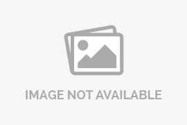 Tiga Poin Penting Pengarahan Presiden, Bupati Bengkalis Kasmarni Siap Menjalankan