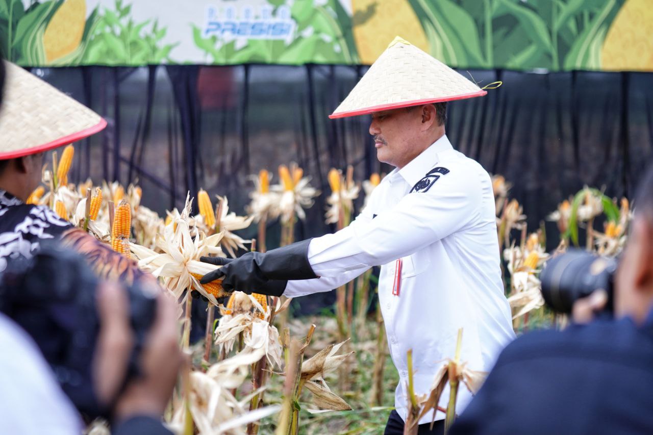 Berhasil Panen Raya Jagung Tahap I, Pj Sekdaprov Apresiasi Kapolda Riau