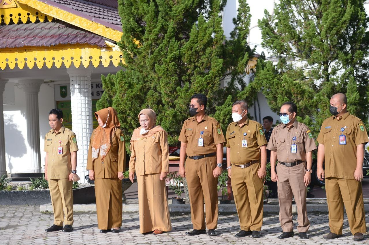 Dukung tekan Inflasi, Diskominfo Riau Sukses Panen Cabai di Perkarangan kantor